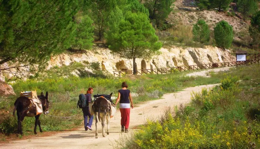 cosa vedere a enna-visitare enna-parco floristella