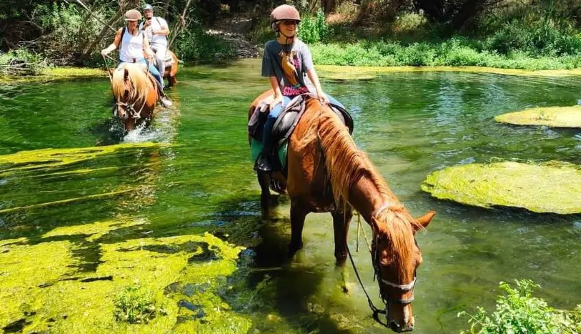 passeggiate a cavallo