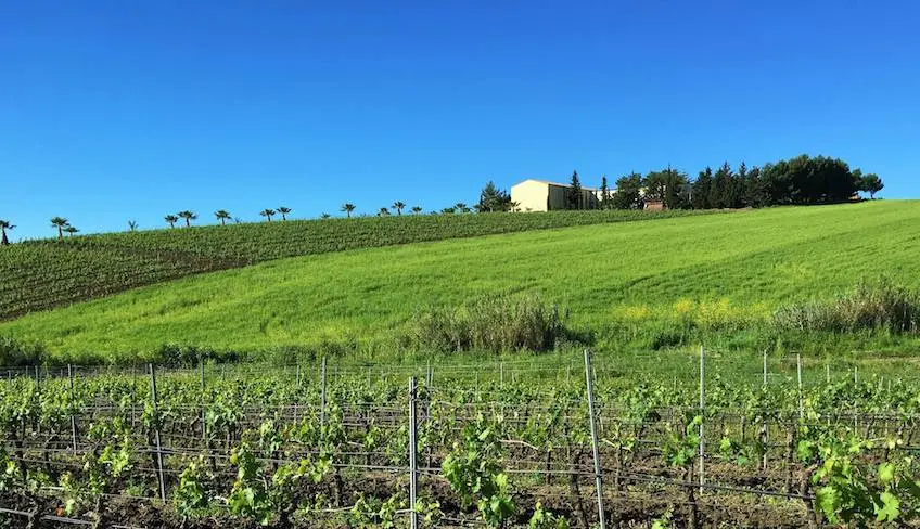 degustazione vini palermo-cantine palermo-cantine siciliane da visitare