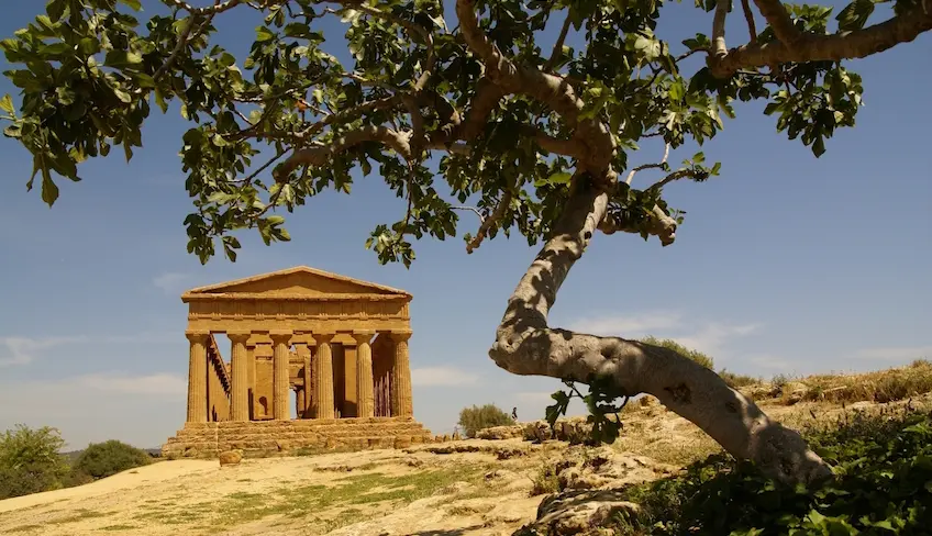 visitare agrigento cosa vedere in un giorno catania agrigento