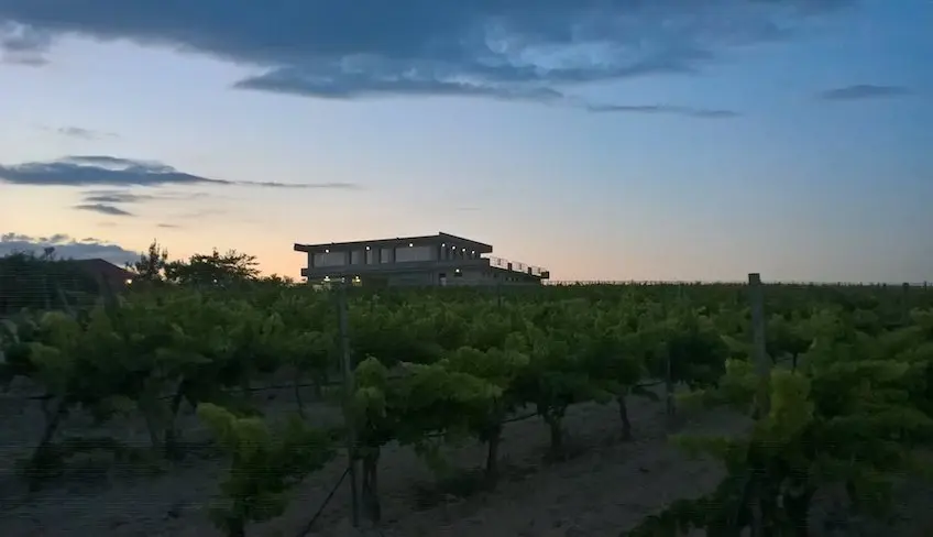 azienda agricola noto-degustazione vini noto-cosa fare a noto